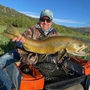 Meet your Posher, Chad